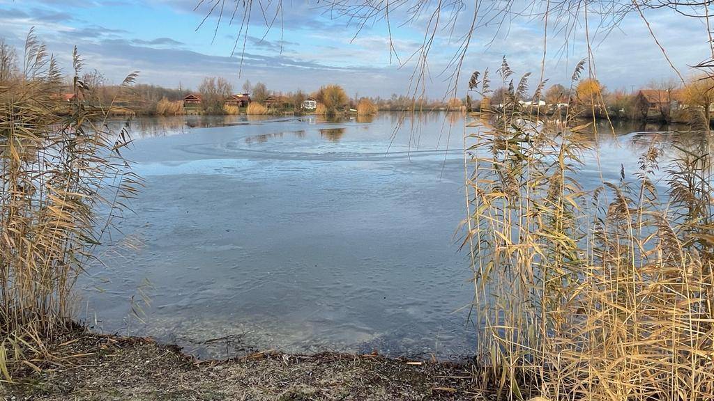 Weitläufiger Blick auf den See mit Schilf und Bäumen, unter einem bewölkten Himmel.