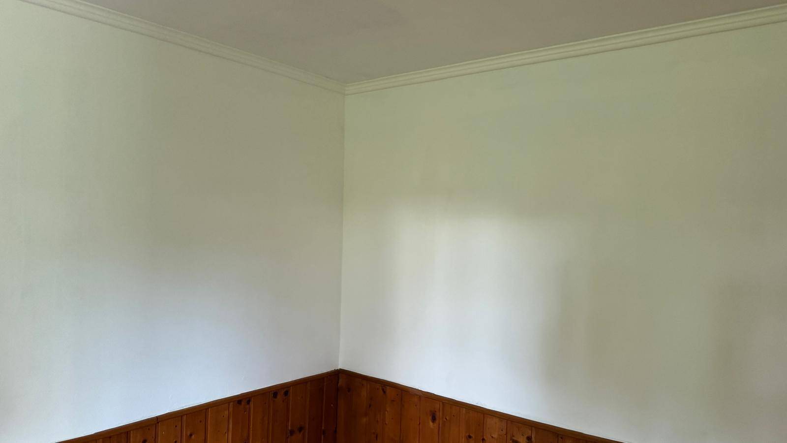 Ecke eines Raumes mit weiß gestrichenen Wänden und Holzvertäfelung im unteren Bereich.