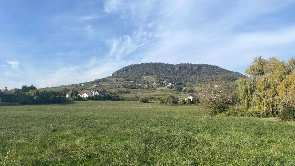 Weitläufige grüne Wiese mit beeindruckendem Bergblick und vereinzelten Häusern am Hang.