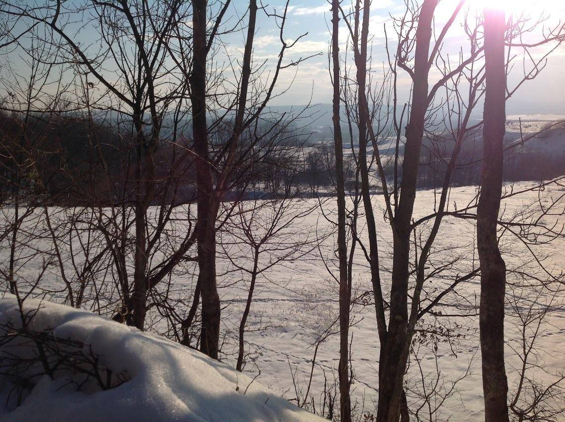 Verschneites Feld mit kahlen Bäumen im Vordergrund und weitem Blick in die Winterlandschaft.