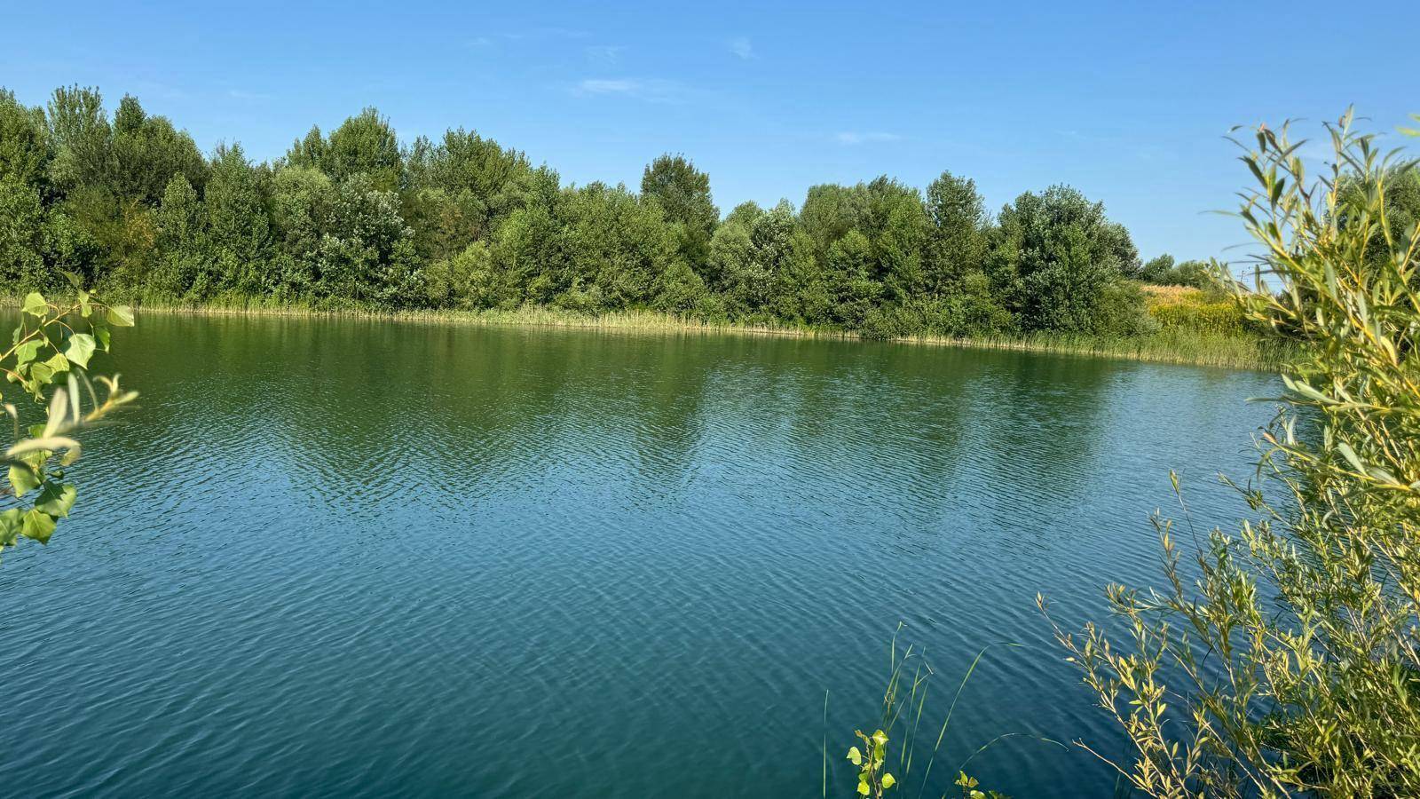 Ruhiger See mit grünen Bäumen am gegenüberliegenden Ufer und sonnigem Wetter.