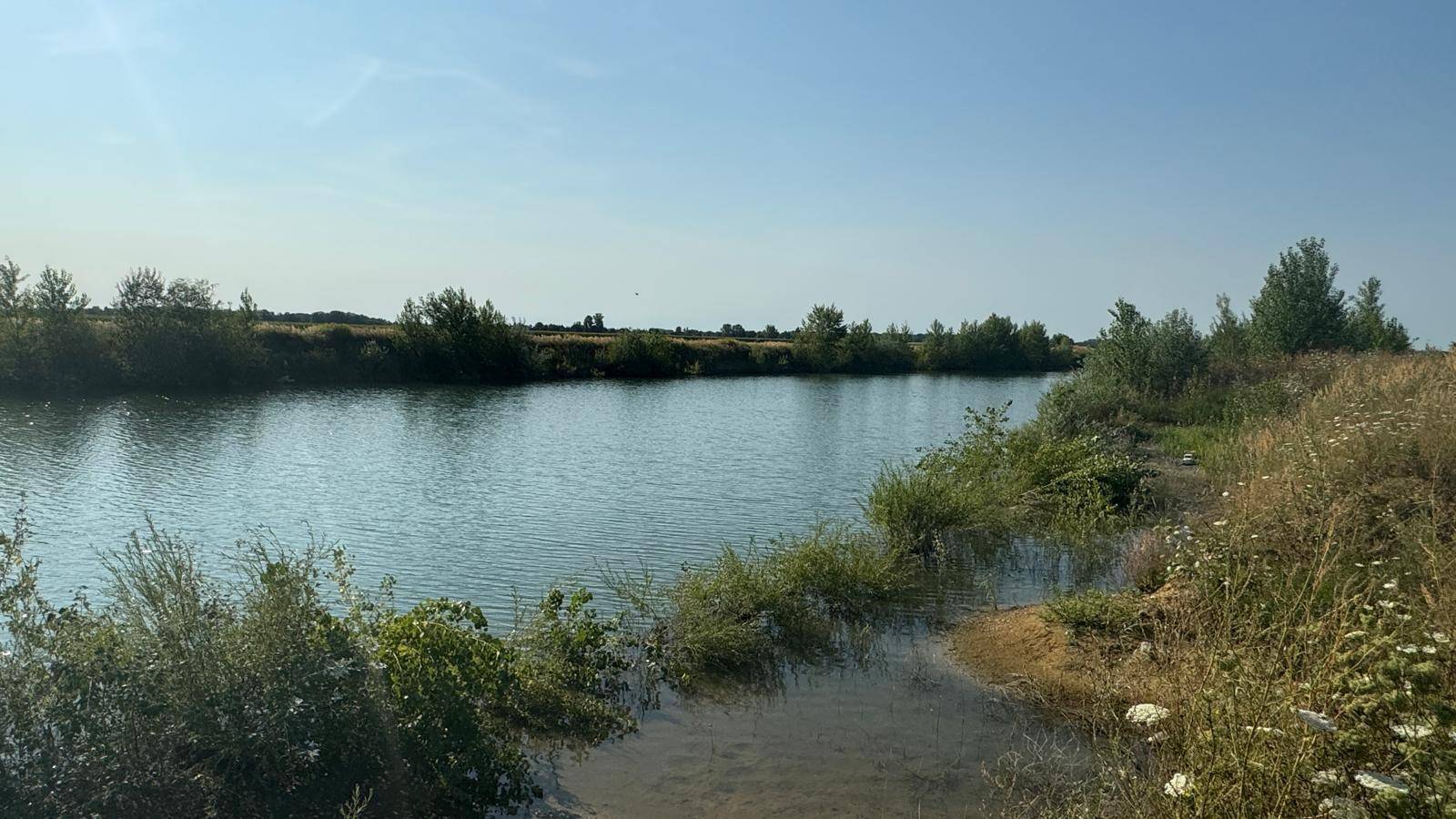Ruhiger See mit bewachsenen Ufern und trockenem Gras im Vordergrund unter blauem Himmel.