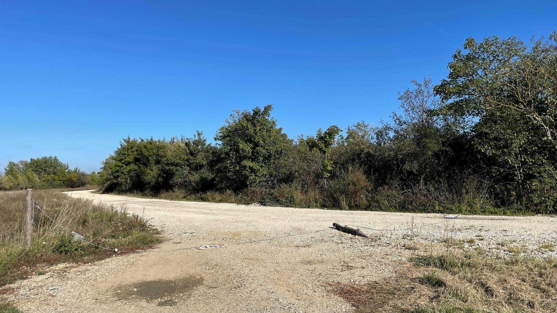 Unbefestigter Feldweg führt durch eine ländliche Umgebung mit dichter Vegetation an den Seiten unter blauem Himmel.