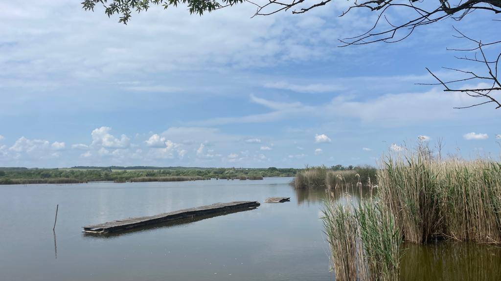 Weitläufiger See mit einem langen Holzsteg im Wasser, umgeben von Schilf und Natur.