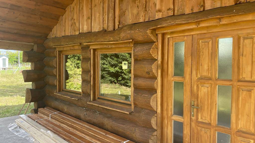 Eingangsbereich des Blockhauses mit Holztür und Fenstern, die die grüne Umgebung widerspiegeln.