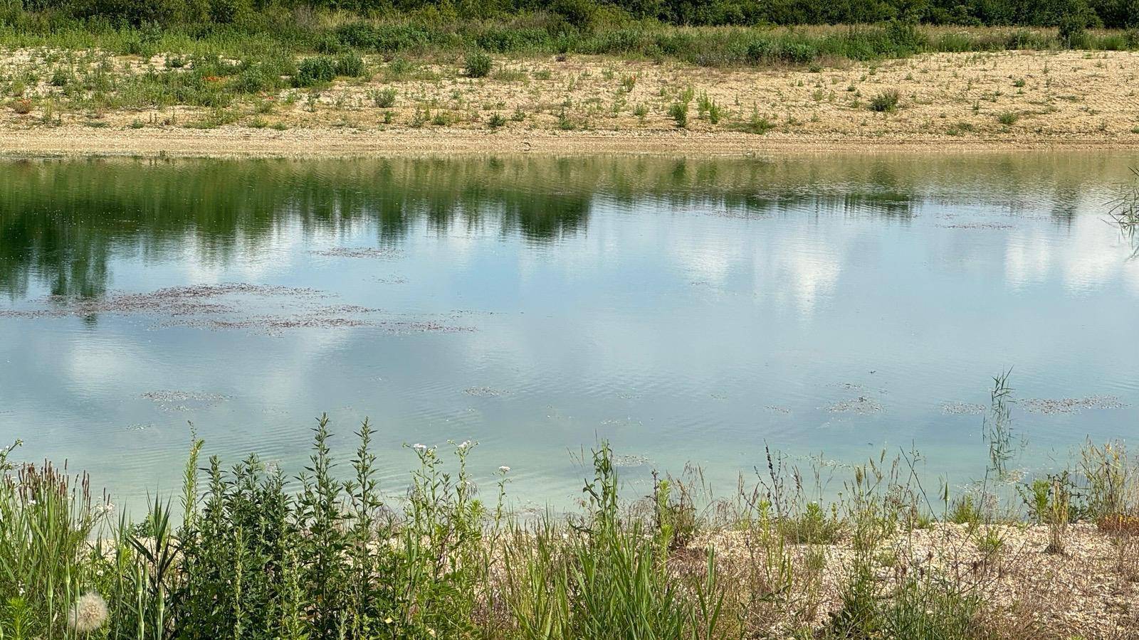 Ruhiger See oder Teich umgeben von üppiger Vegetation und bewachsenen Ufern unter hellem Himmel.