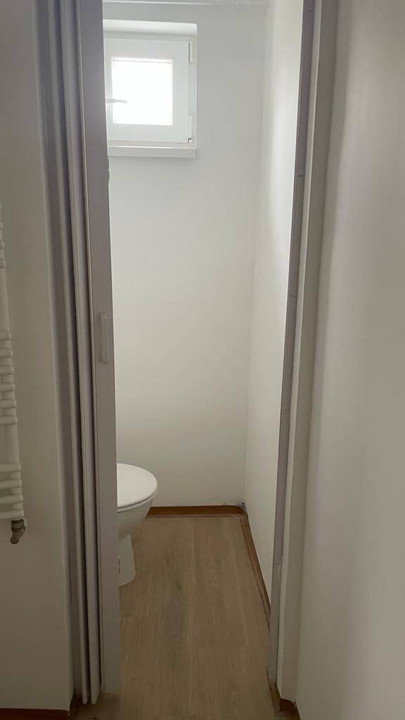 Toilettenbereich mit Fenster, weiß gestrichenen Wänden und Laminatboden.