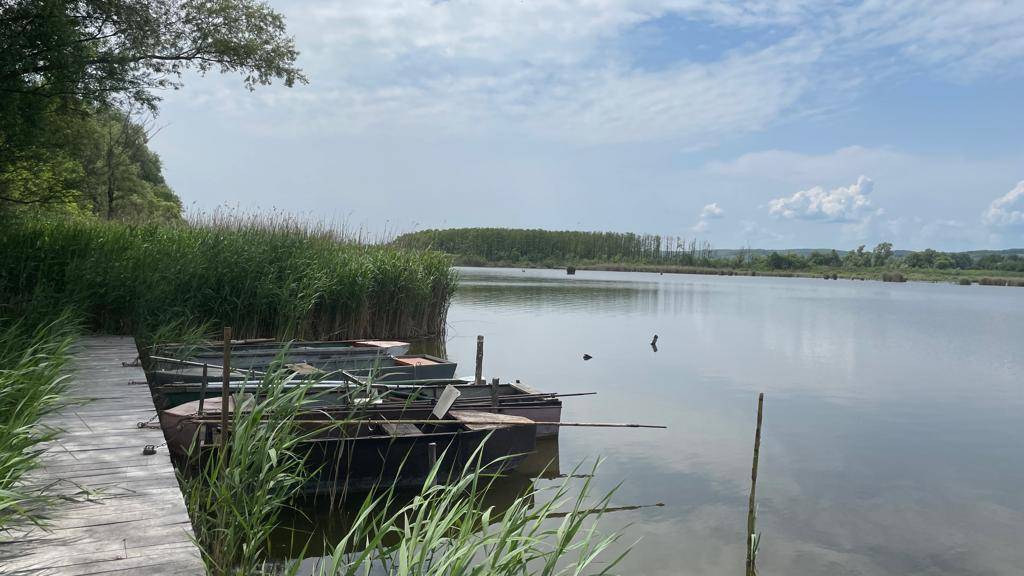 Ruhiger See mit Holzsteg, mehreren Booten und dichtem Schilf unter einem bewölkten Himmel.