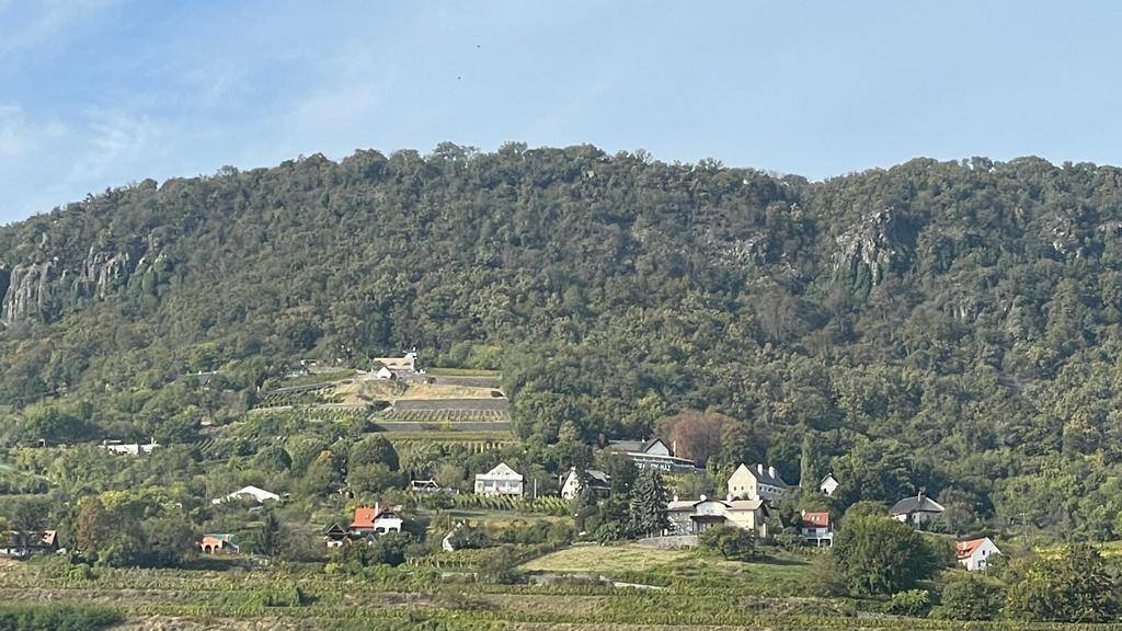 Detaillierter Blick auf den bewaldeten Berg mit Häusern und Weinbergen am Hang.