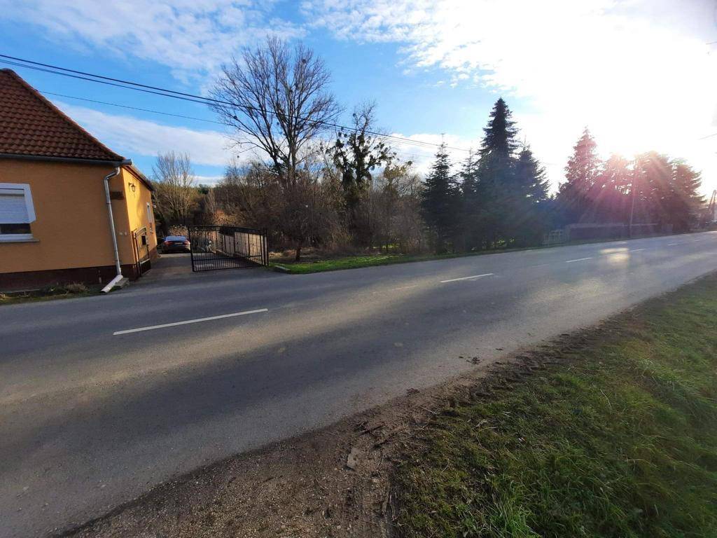Sonnige Landstraße mit einem Haus und Bäumen am Straßenrand, mit starkem Gegenlicht.