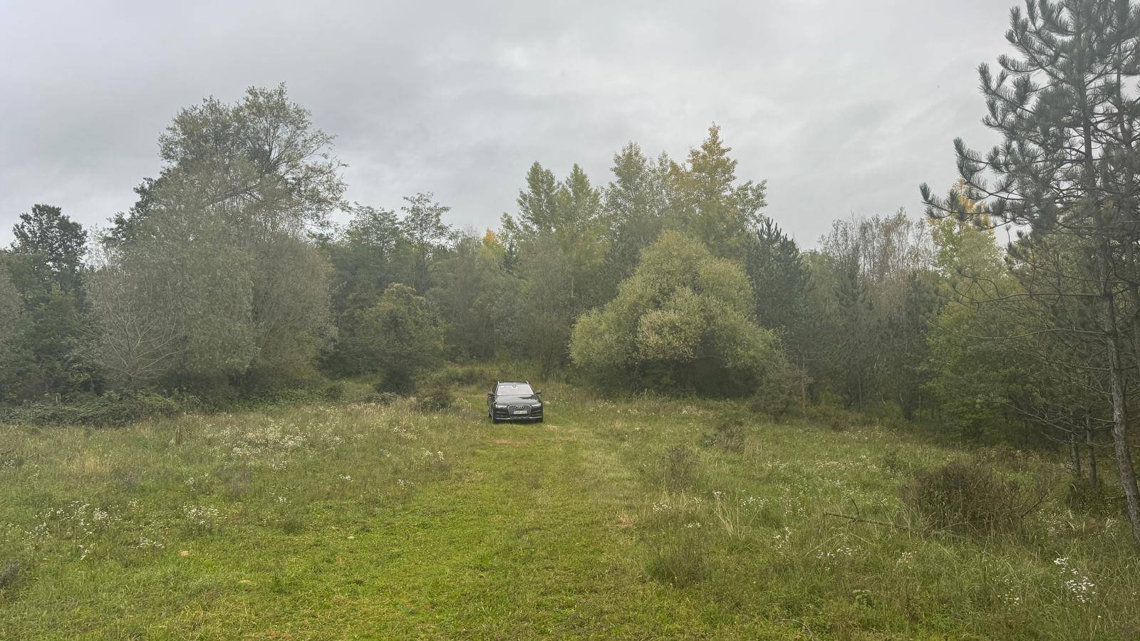 Offene Wiese mit einem Auto in der Ferne, umgeben von Bäumen unter bewölktem Himmel.