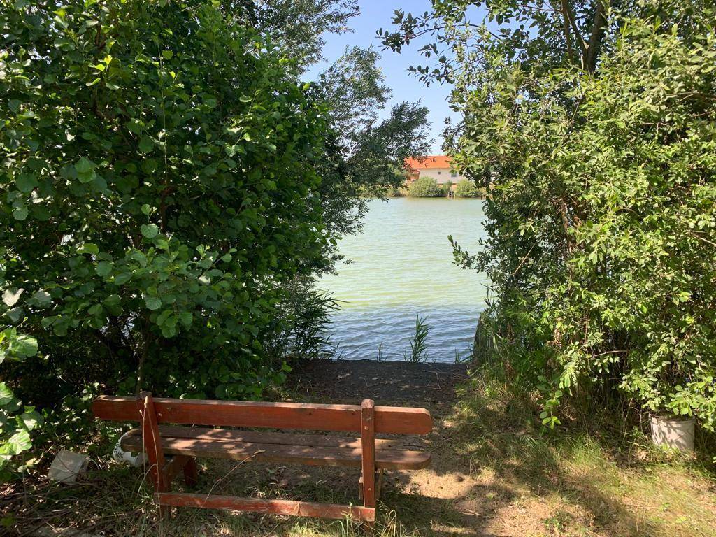 Holzbank am Seeufer, umgeben von üppigem Grün und einem weiten Blick auf das Wasser.
