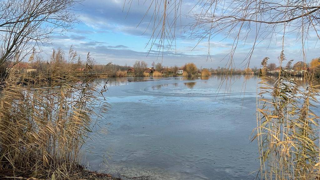 Malerischer Blick auf den teilweise zugefrorenen See mit Schilf und Bäumen am Ufer.