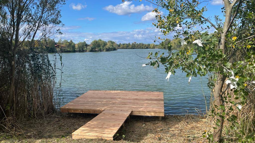 Neuer Holzsteg am Ufer, umgeben von Bäumen und Schilf, mit direktem Zugang zum See.