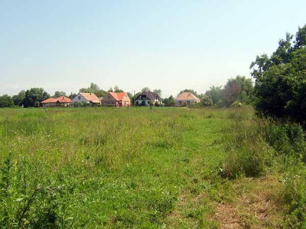 Offenes Feld mit hohem Gras und einer Reihe von Häusern mit roten Dächern in der Ferne.