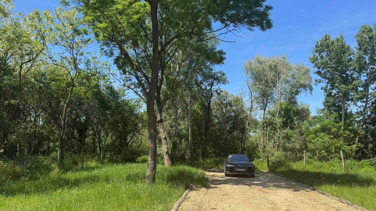 Schotterweg führt durch eine grüne Landschaft mit Bäumen, ein Auto fährt in der Ferne.