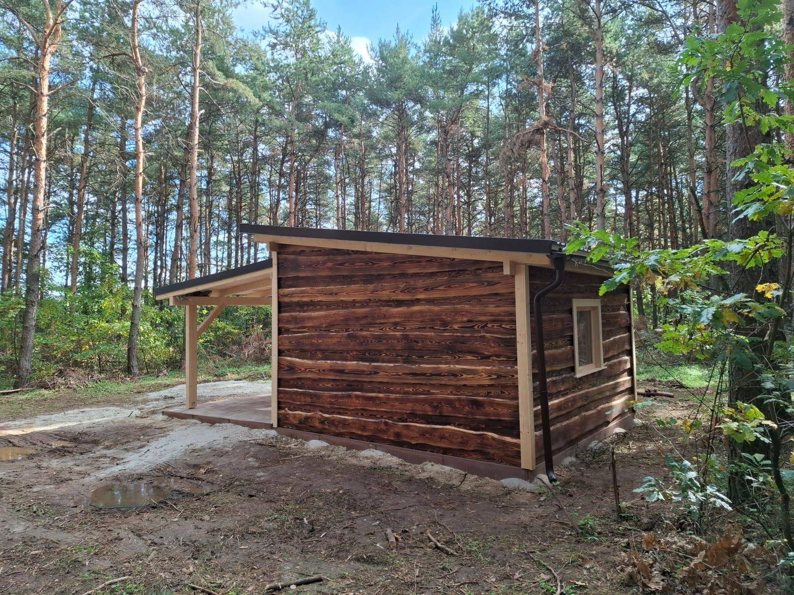 Kleine Holzhütte mit schrägem Dach und überdachtem Bereich, umgeben von einem Kiefernwald.