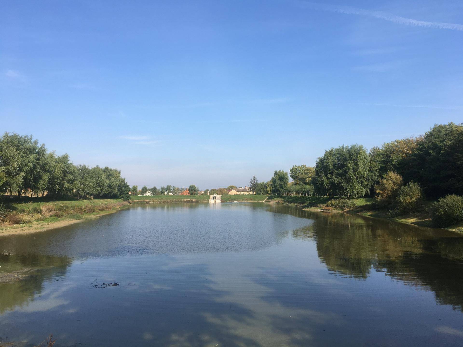 Gemütliche Feuerstelle mit Baumstumpf-Sitzgelegenheiten am Seeufer unter blauem Himmel.