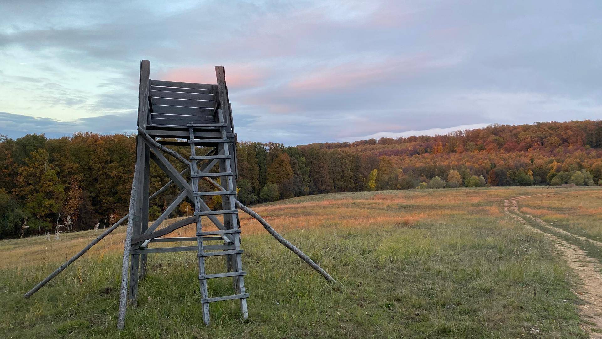 Hölzerner Hochsitz auf einer Wiese mit herbstlichen Bäumen im Hintergrund unter bewölktem Himmel.