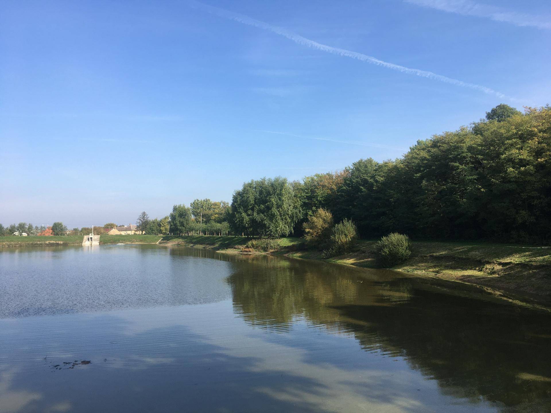 Altes Boot am Ufer eines Sees mit Bäumen und grünem Gras unter blauem Himmel.