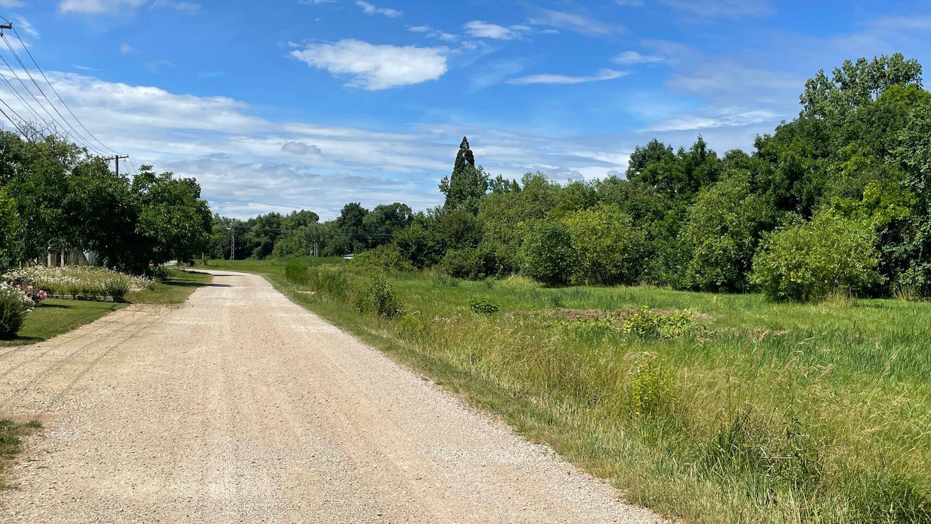 Unbefestigter Weg schlängelt sich durch weite grüne Felder mit einem Waldrand in der Ferne.