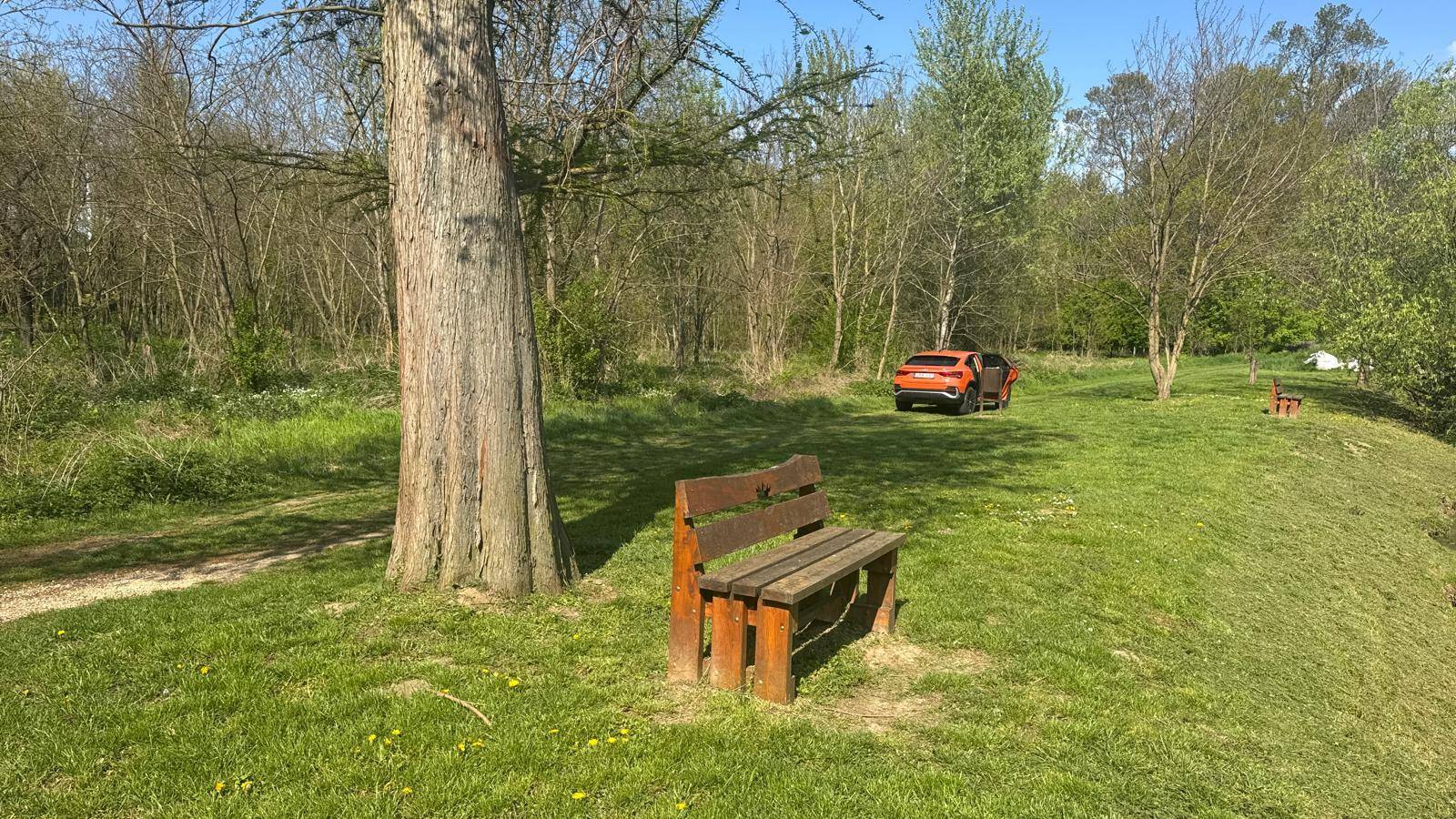 Grüne Wiese mit einem Baum, einer Holzbank und einem orangefarbenen Auto am Waldrand.