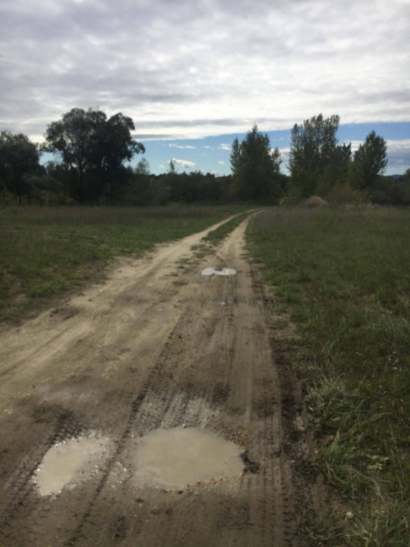 Ein schlammiger Feldweg mit Pfützen führt durch eine grüne Landschaft unter bewölktem Himmel.