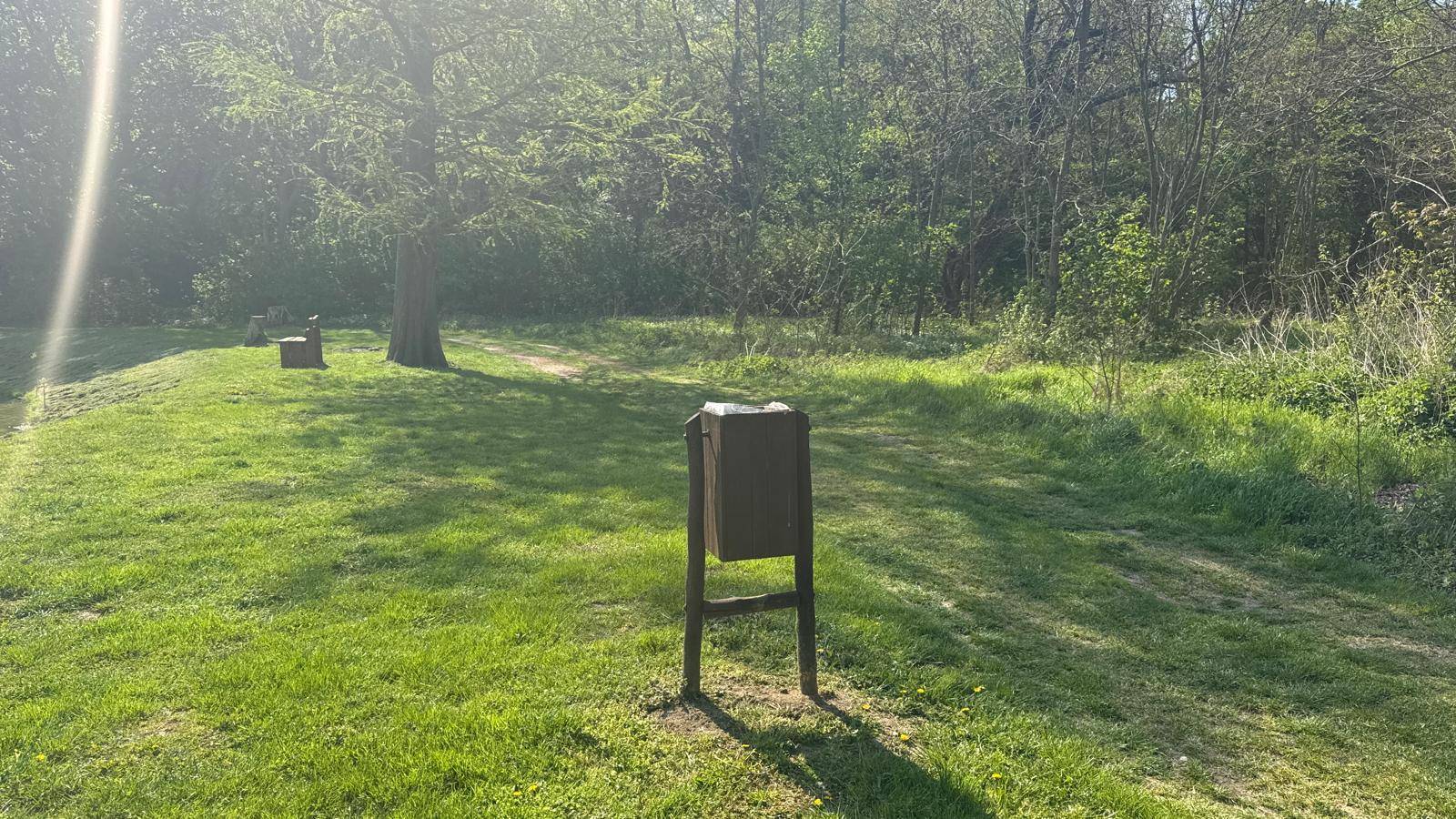 Weitläufige Grünfläche mit einem Mülleimer und Bäumen im Hintergrund unter hellem Sonnenlicht.