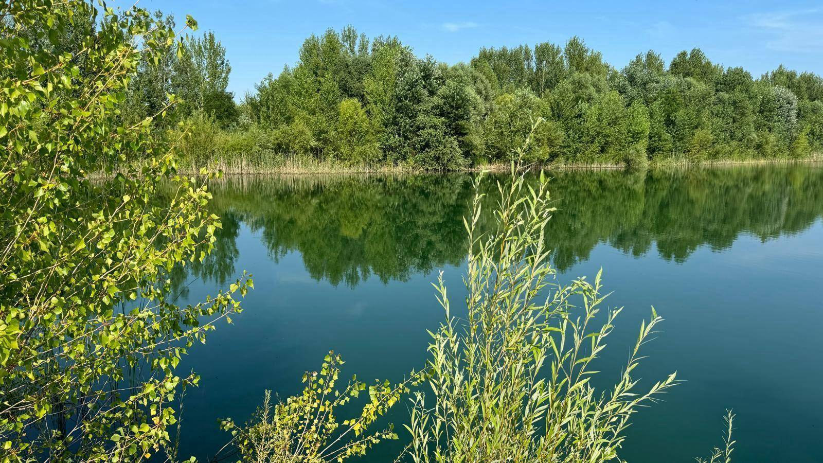 Idyllischer See mit Spiegelungen der Bäume im Wasser und dichtem Grün am Ufer.