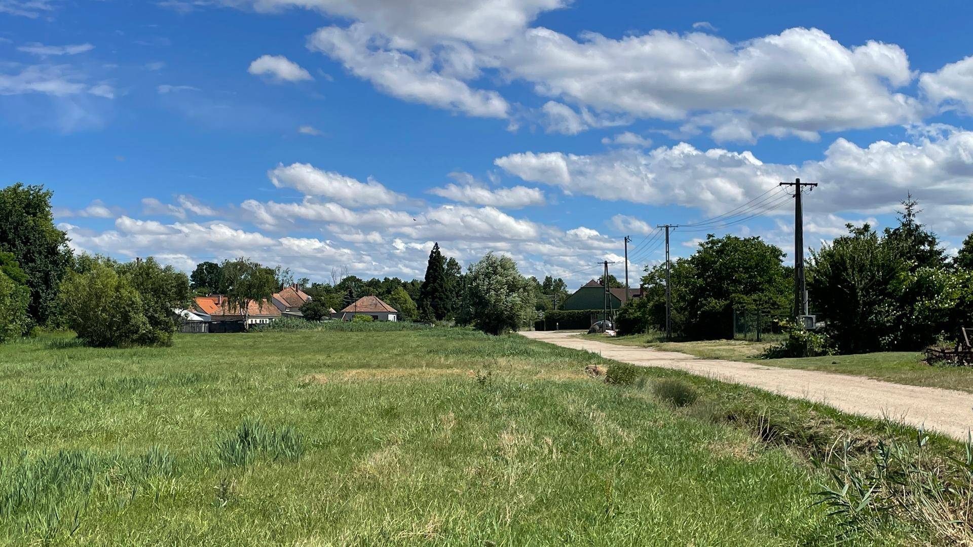 Ländliche Szene mit einem Feldweg, weiten grünen Wiesen und Häusern am Horizont unter blauem Himmel.