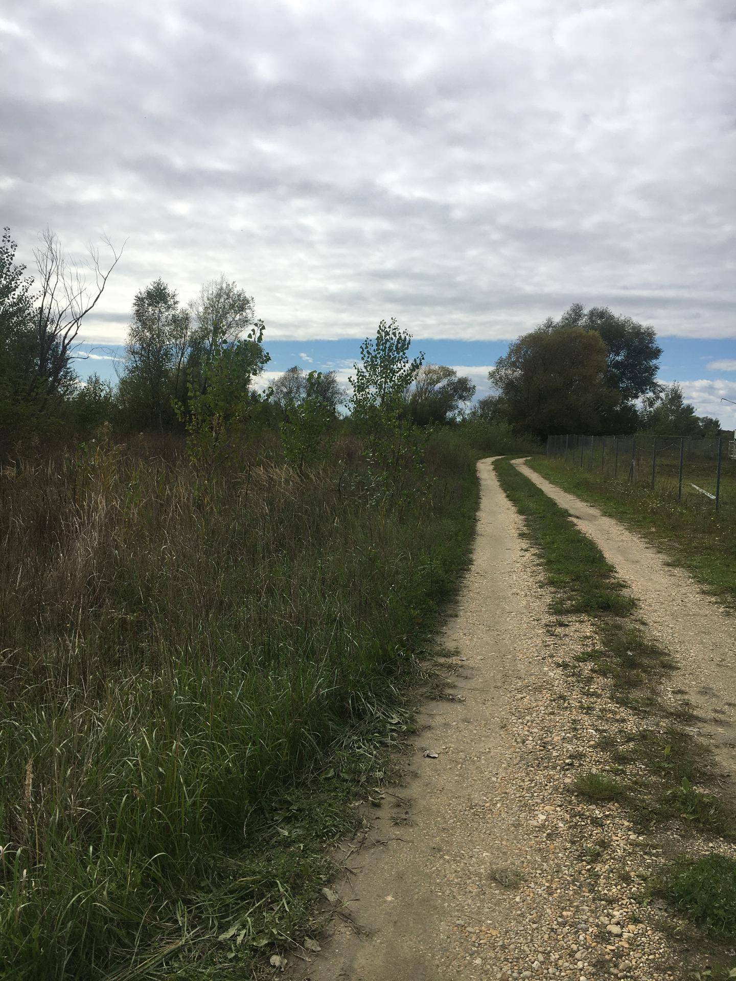 Ein unbefestigter Weg führt durch eine hohe Wiese mit Bäumen und einem Zaun im Hintergrund.