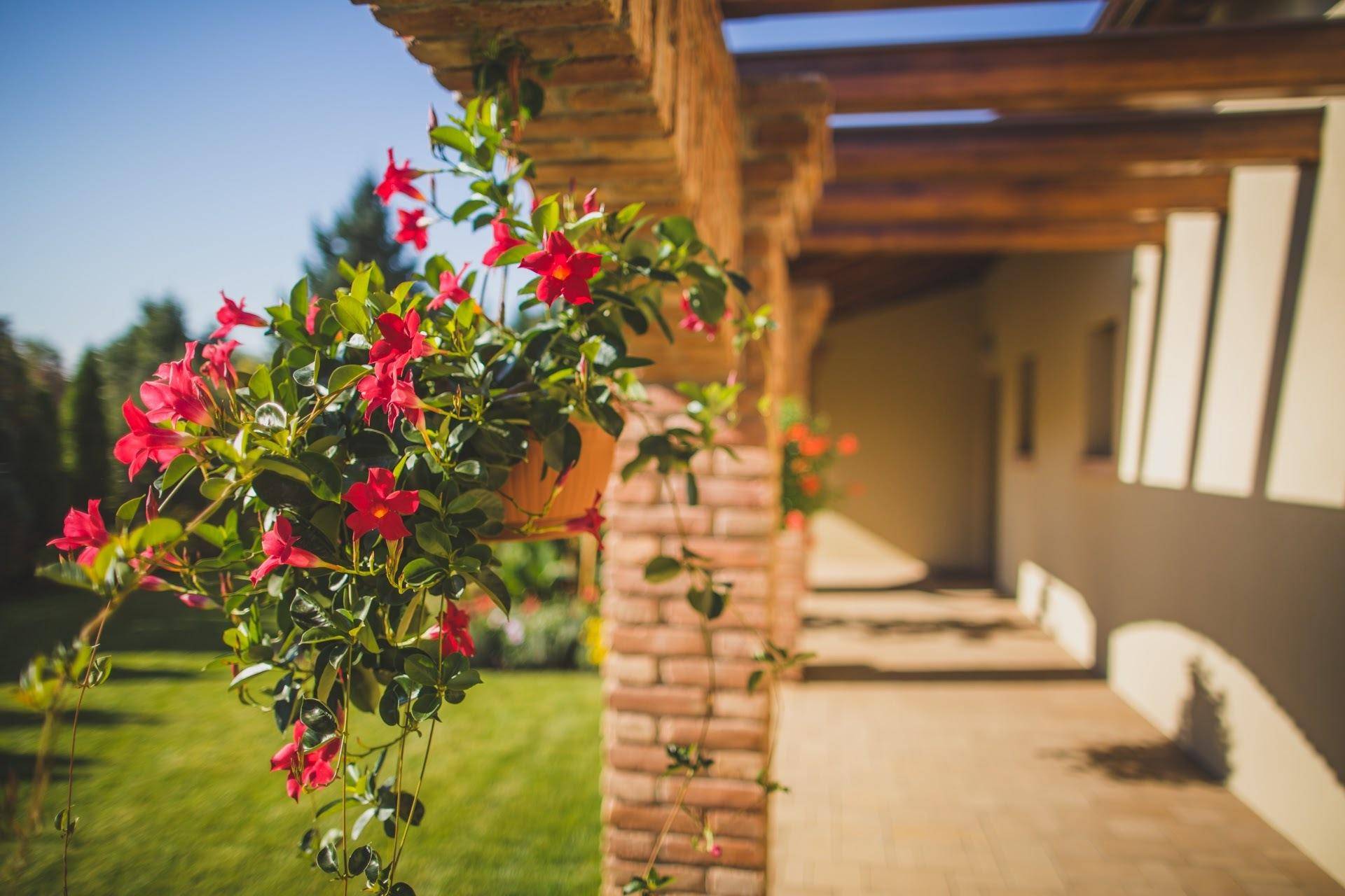 Hängende Blumenampeln schmücken die Ziegel-Pergola und verleihen dem Außenbereich Farbe und Charme.