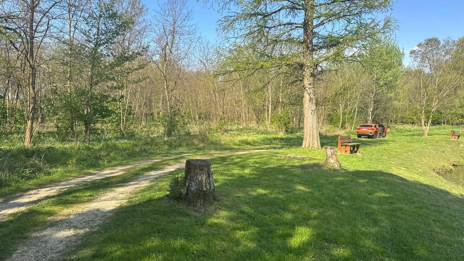 Grüne Landschaft mit einem Pfad, Bäumen, einer Bank und einem See im Hintergrund unter blauem Himmel.