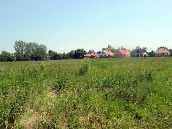 Weitläufiges grünes Feld mit vereinzelten Häusern in der Ferne unter blauem Himmel.
