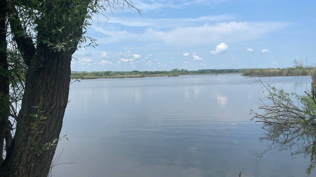 Weitläufiger, ruhiger See unter blauem Himmel, umrahmt von grünen Bäumen am Horizont.