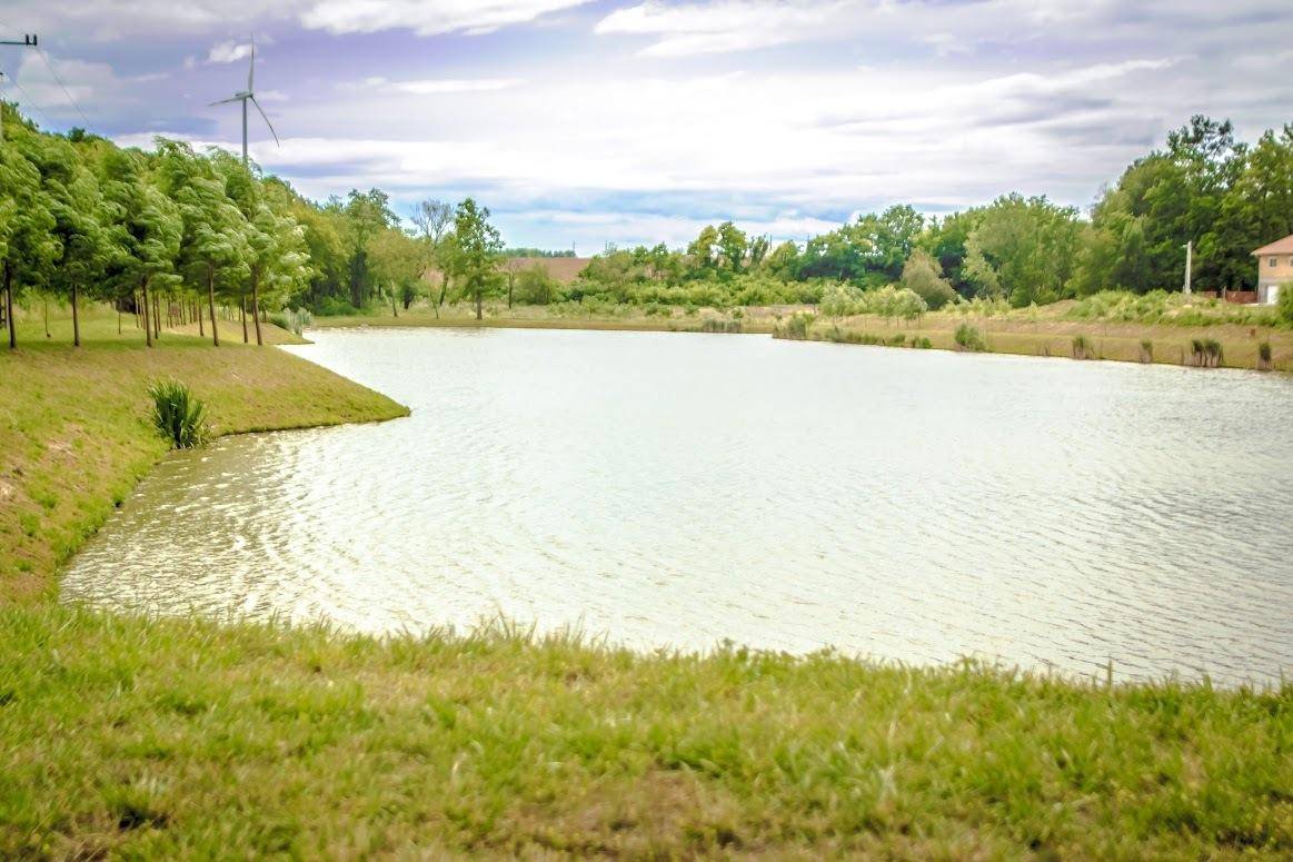 Großer See mit grünen Ufern und einer Windkraftanlage am Horizont unter bewölktem Himmel.