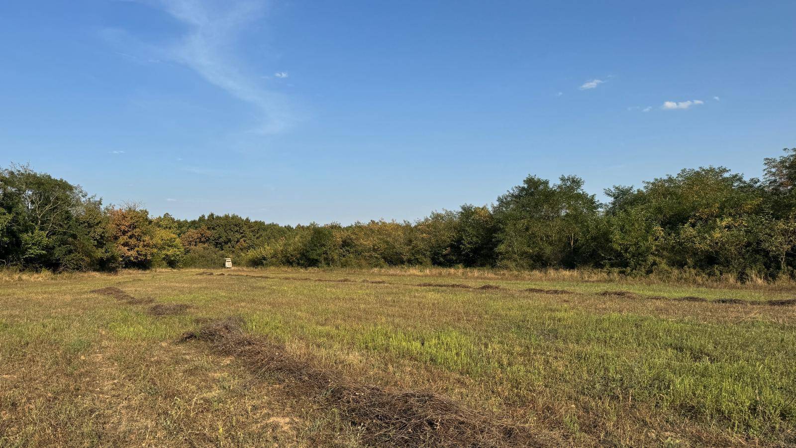 Weitläufiges Feld mit Bäumen am Horizont und einem kleinen Objekt in der Ferne.