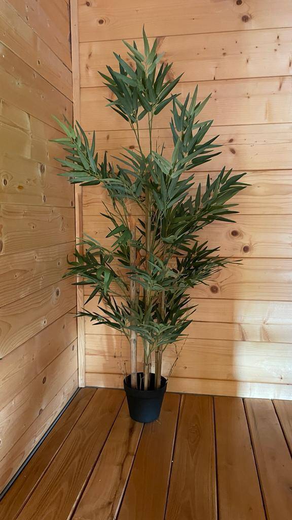 Eine dekorative Zimmerpflanze in einem Topf auf einem Holzboden.