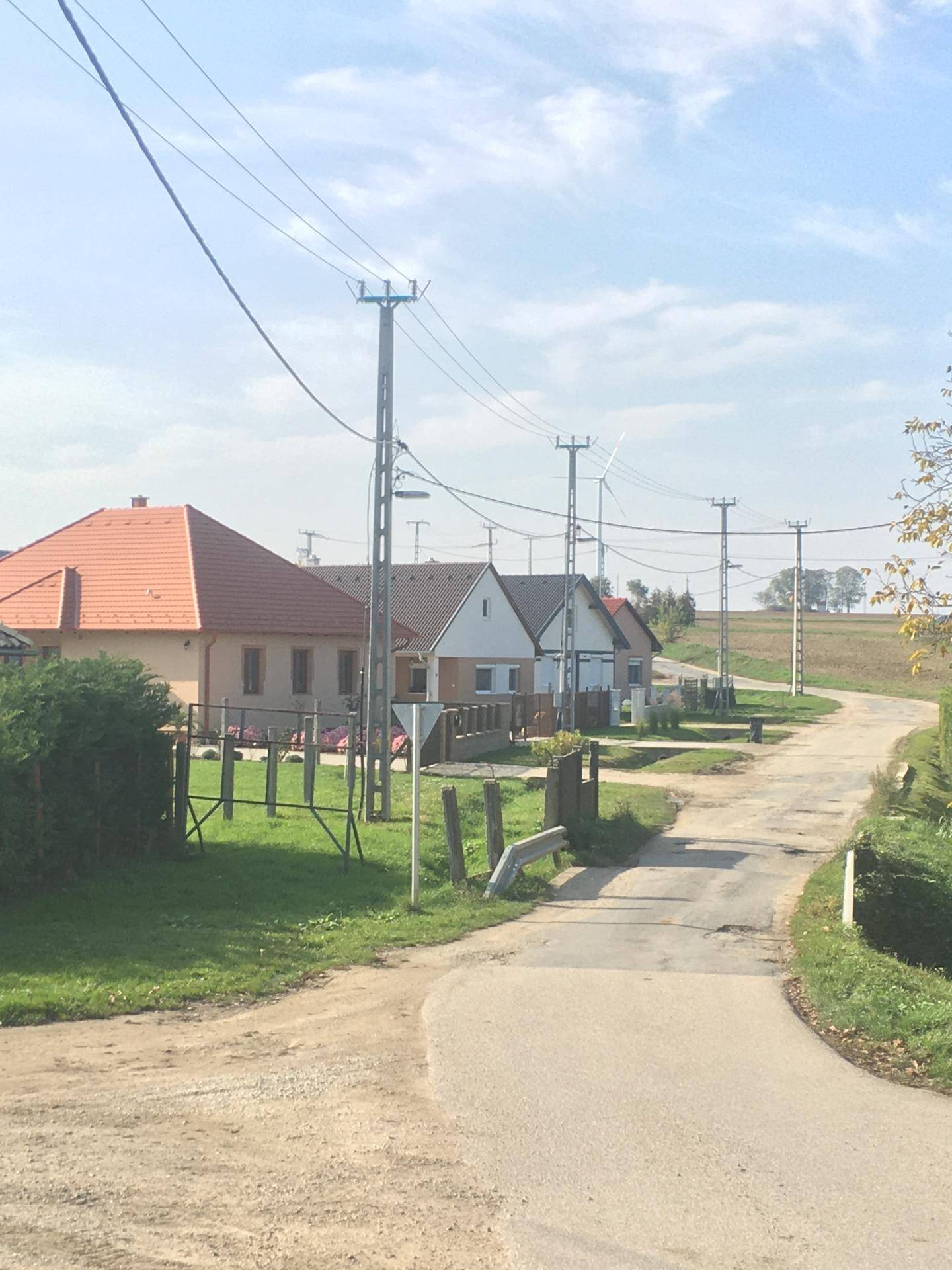 Feuerstelle mit Baumstumpf-Sitzgelegenheiten am Seeufer, umgeben von Bäumen.