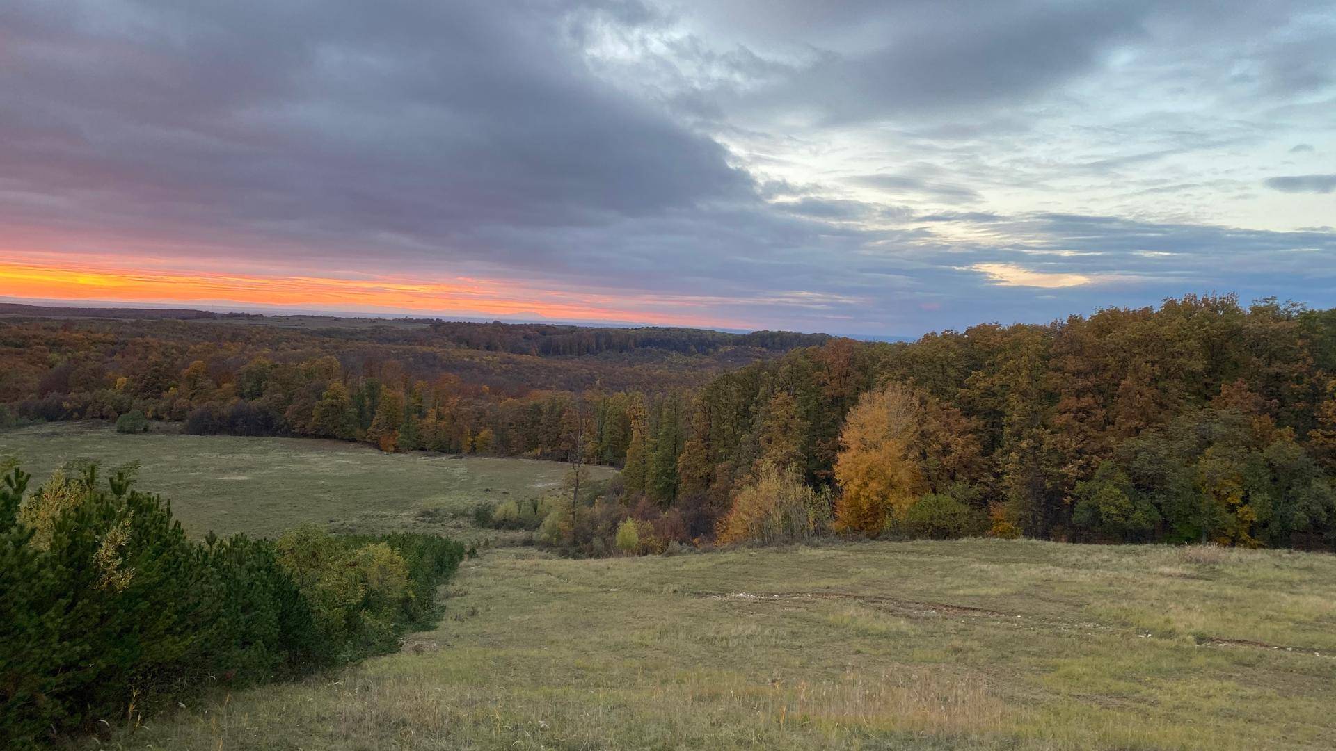 Panoramablick über ein Tal mit Feldern und Wäldern in herbstlichen Farben bei Sonnenuntergang.