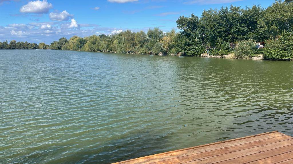 Panoramablick über die ruhige Seeoberfläche mit bewaldeten Ufern und einem weiten Horizont.