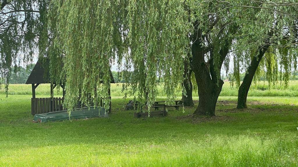 Idyllischer Gartenbereich mit Weidenbäumen, einem Pavillon und einem Boot auf der Wiese.