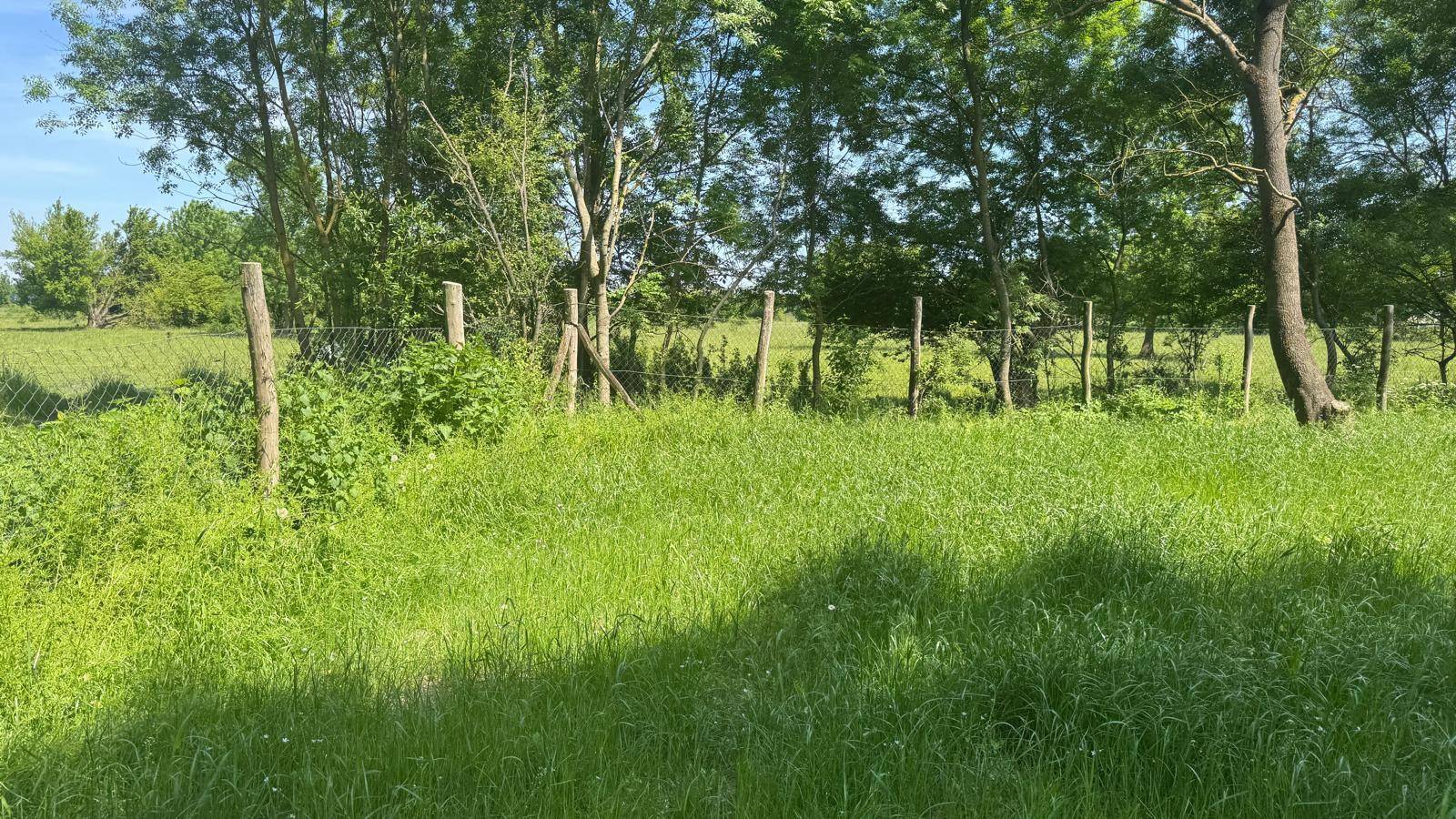 Weitläufige grüne Wiese mit hohem Gras und einem einfachen Holzzaun im ländlichen Raum.