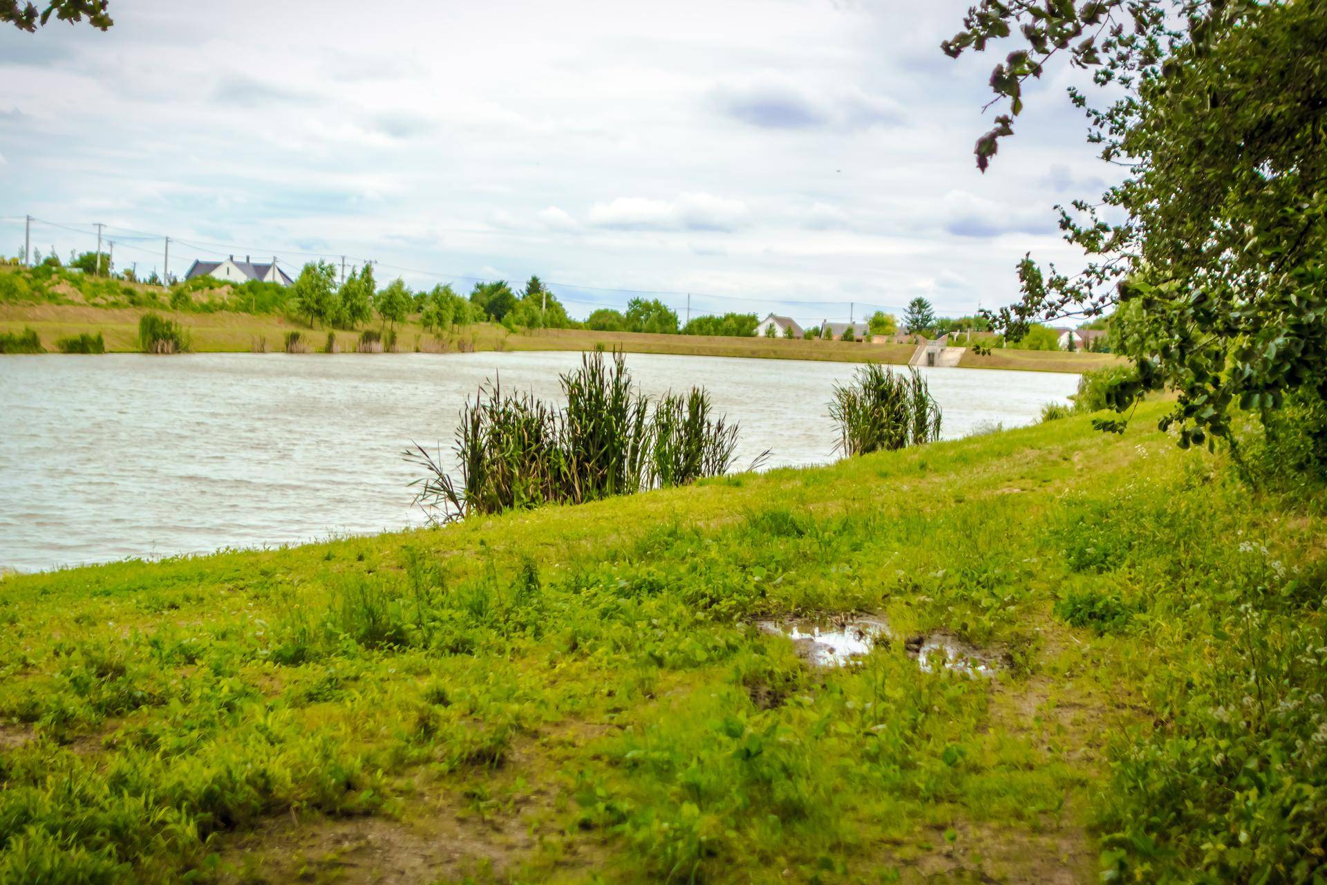Grüne Wiese am Seeufer mit Blick auf entfernte Häuser und einen bewölkten Himmel.