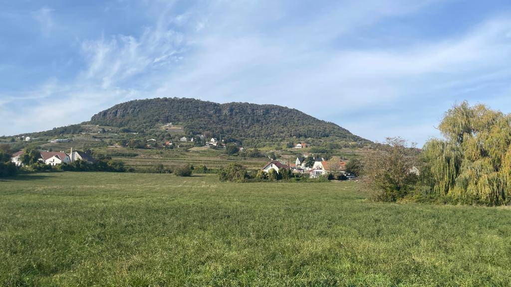 Weitläufige grüne Wiese mit beeindruckendem Bergblick und vereinzelten Häusern am Hang.