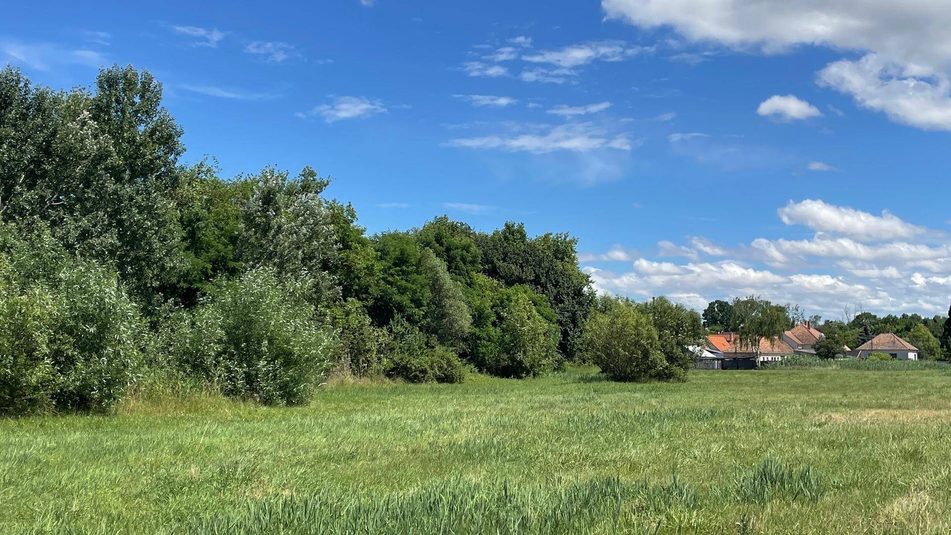 Weite grüne Wiesenfläche mit einem dichten Waldrand und traditionellen Häusern am Horizont.