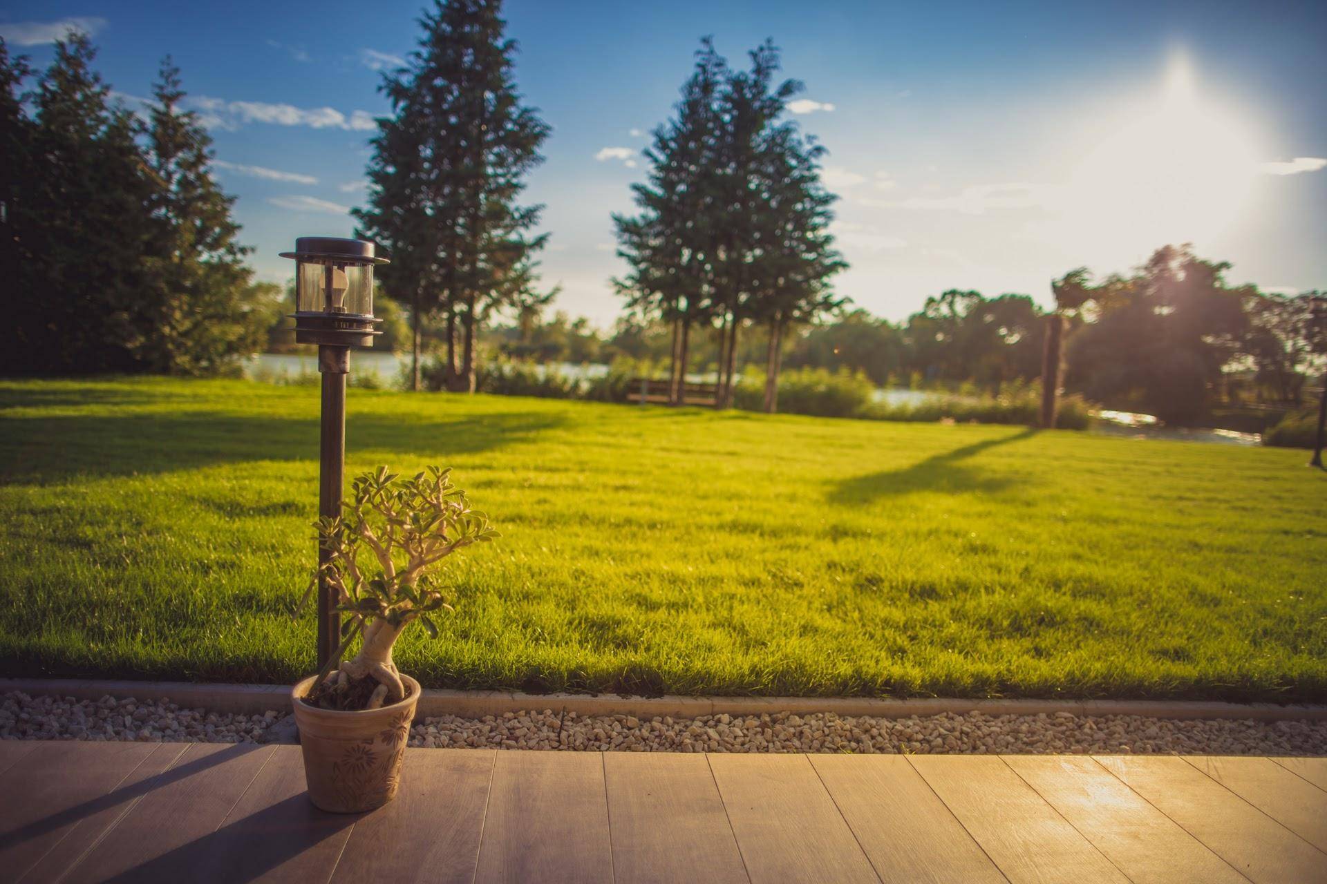 Sonniger Blick vom Terrassenbereich über den gepflegten Rasen zum See und den Bäumen.