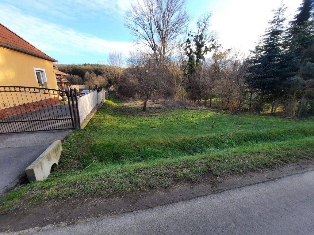 Grüne Rasenfläche eines Grundstücks neben einer Straße und einem gelben Haus.