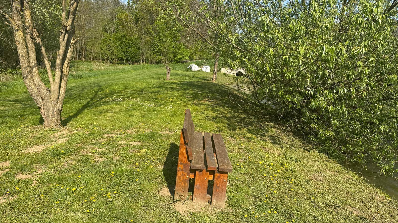 Holzbank auf einer grünen Wiese am Ufer eines Gewässers mit Bäumen im Hintergrund.