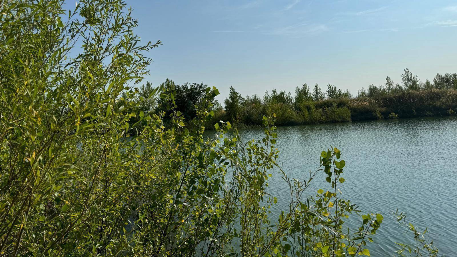 Weitläufiger Blick über einen ruhigen See mit grünen Ufern und klarem blauen Himmel.